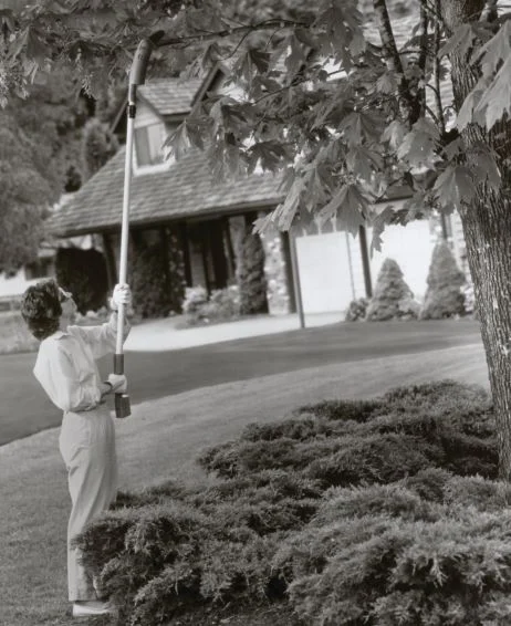 WoodZig® Power Pruner